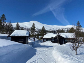 Hito - cabin between Flå and Eggedal
